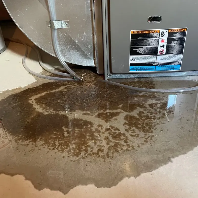 Pipe Burst and Leak Restoration in Warren, ME