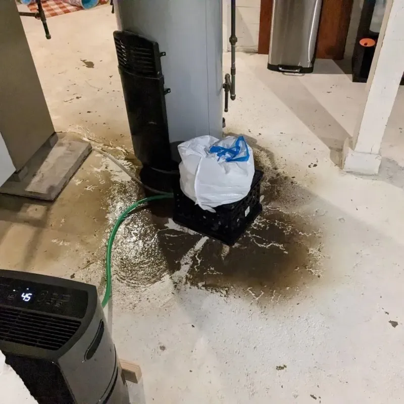 Sewage Backup Cleanup Service in Warren, ME